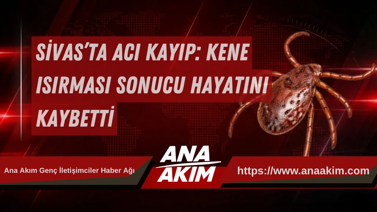 Sivas’ta Acı Kayıp: Kene Isırması Sonucu Hayatını Kaybetti