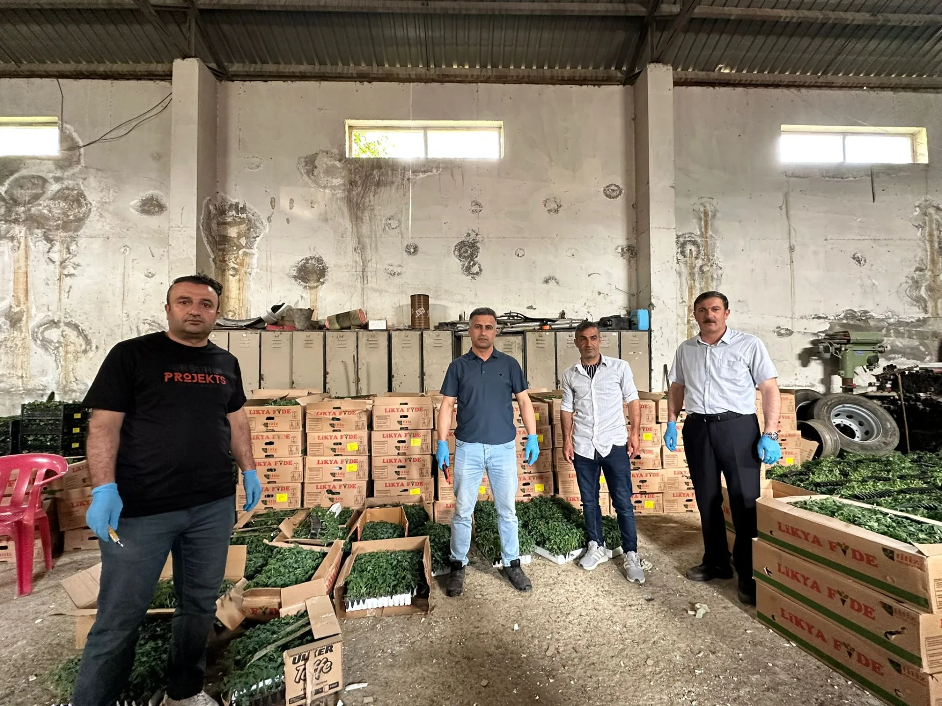 Şemdinli'de Tarıma Büyük Destek: Binlerce Fide Toprakla Buluşuyor
