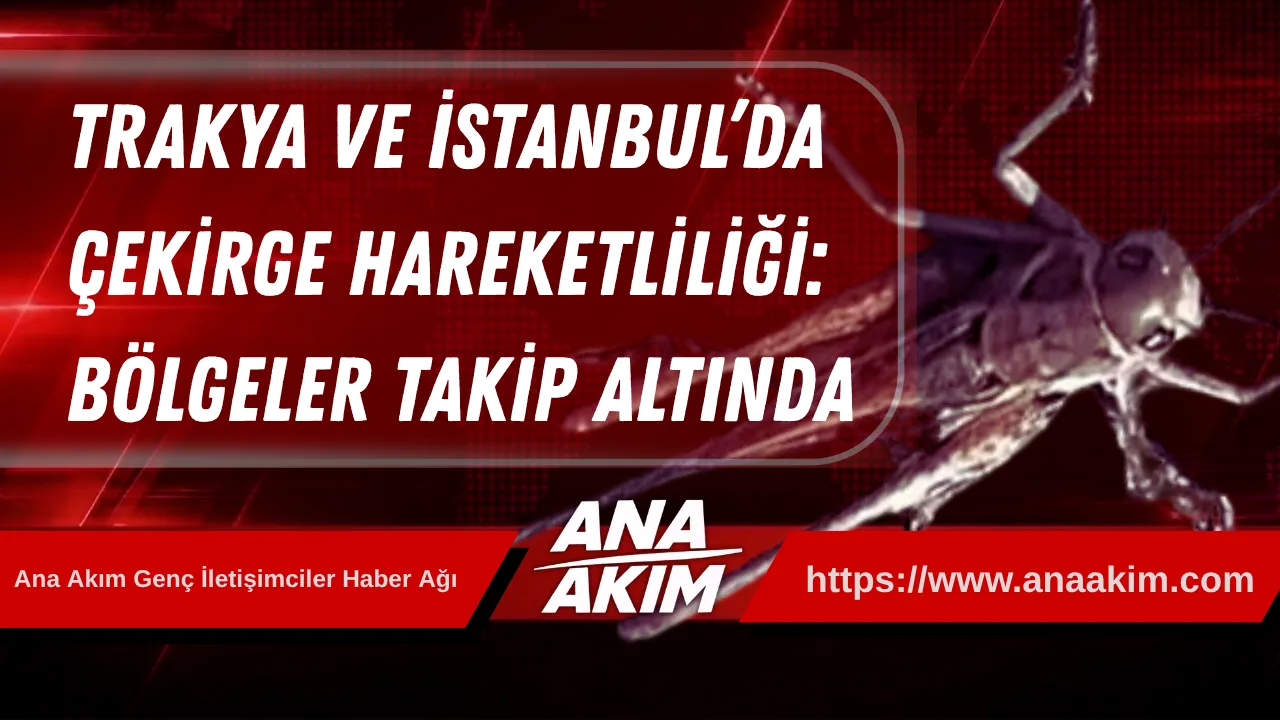 Trakya ve İstanbul’da Çekirge Hareketliliği: Bölgeler Takip Altında