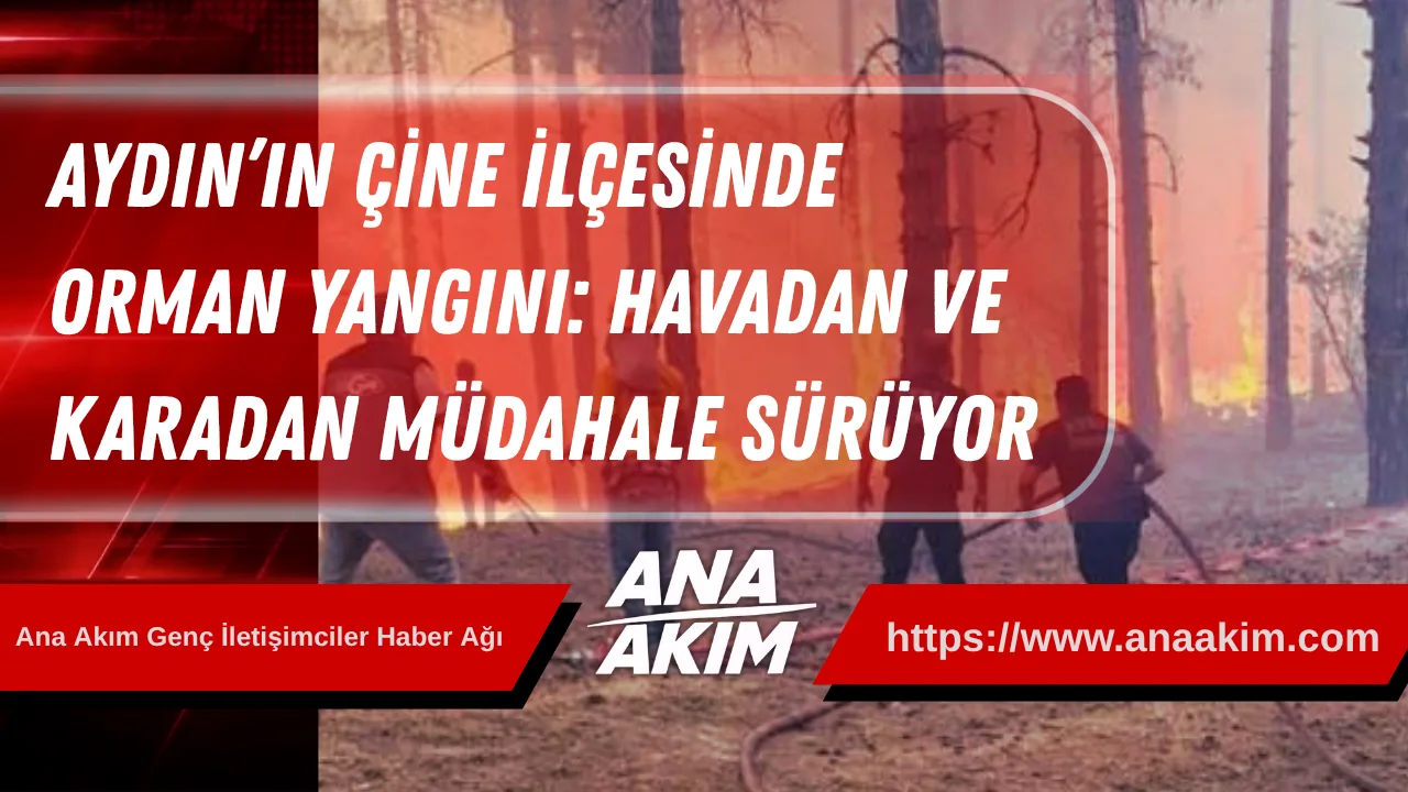 Aydın’ın Çine İlçesinde Orman Yangını: Havadan ve Karadan Müdahale Sürüyor