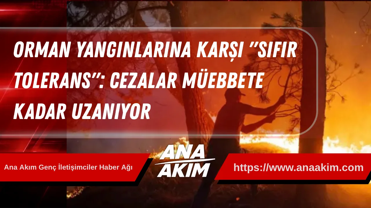Orman Yangınlarına Karşı "Sıfır Tolerans": Cezalar Müebbete Kadar Uzanıyor